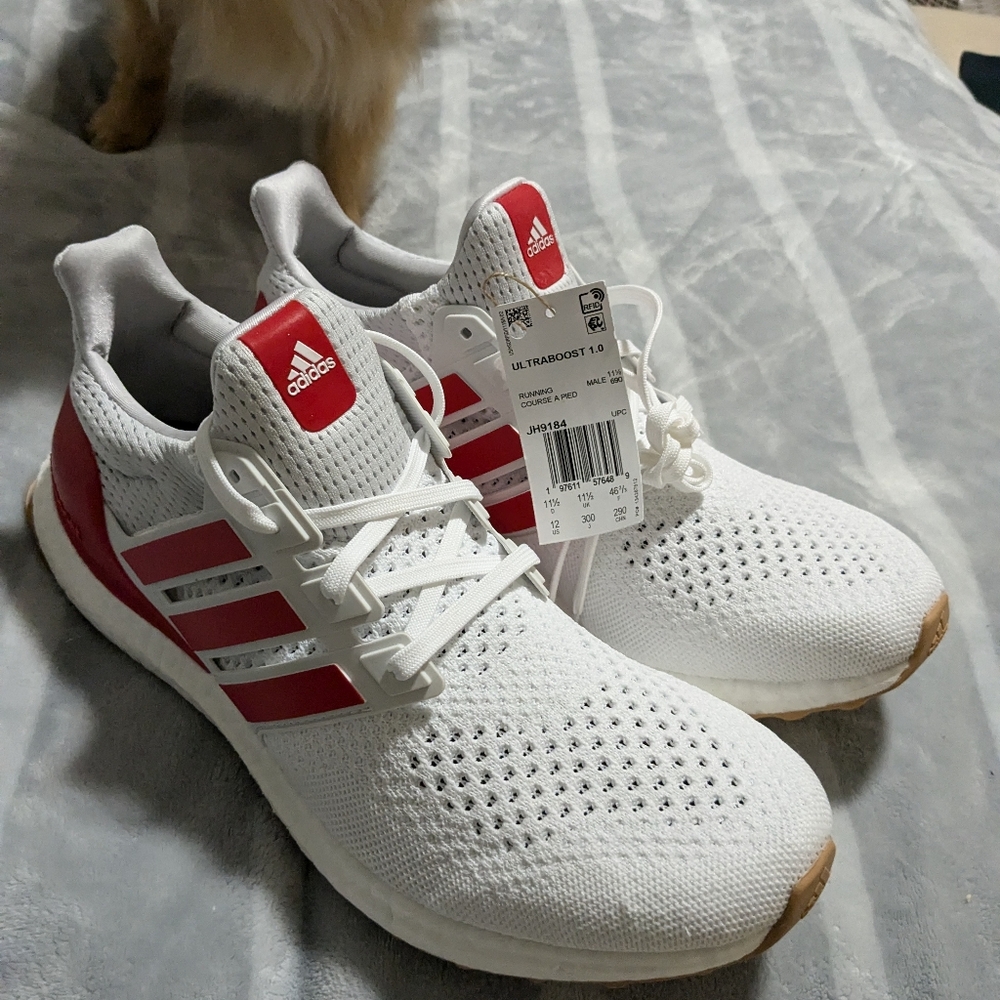 Ultraboost addidas NWT.